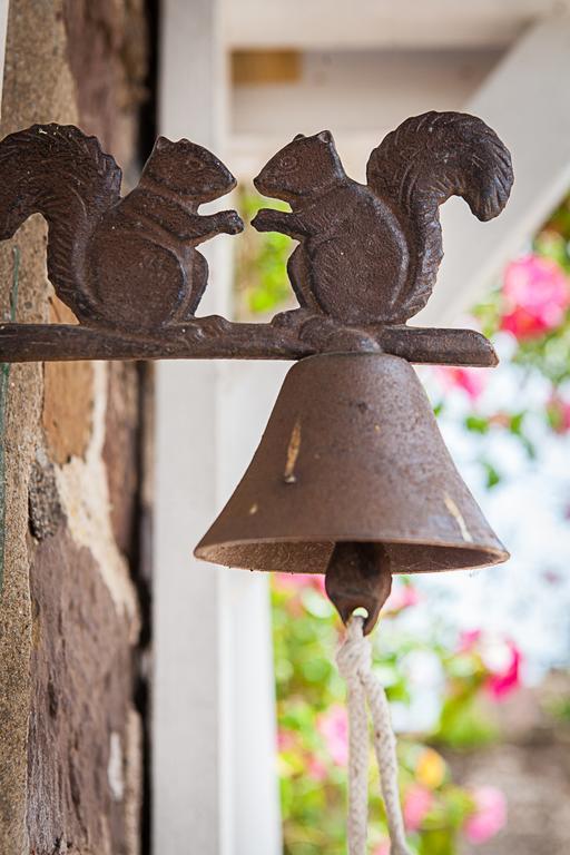 Bed and Breakfast Stoodleigh Court Coach House Tiverton  Exteriér fotografie