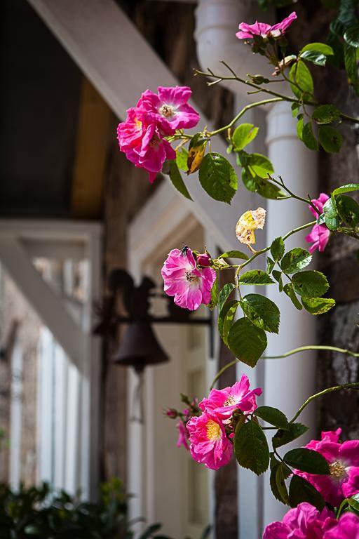 Bed and Breakfast Stoodleigh Court Coach House Tiverton  Exteriér fotografie