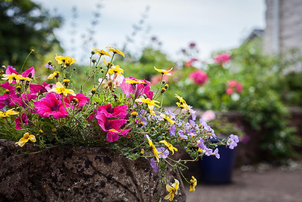 Bed and Breakfast Stoodleigh Court Coach House Tiverton  Exteriér fotografie